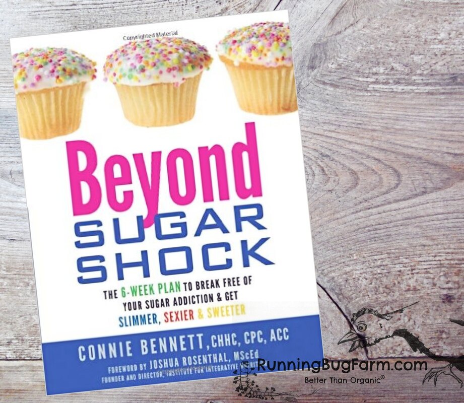 Are you trying to cut sugar out of your diet?  Thinking about low carb or keto?  Here we give a brief review of the book Sugar Shock to help you decide if it's the book for you.