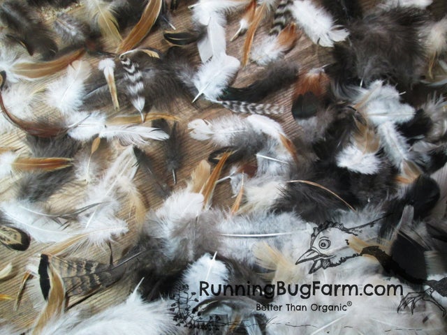 Animal-friendly and faux feathers available for extensions 